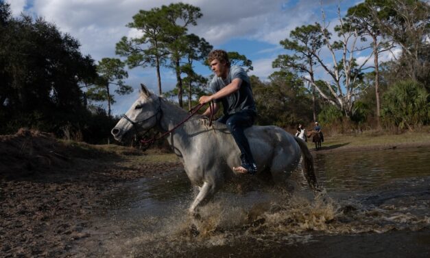 See Florida’s cowboy history come to life in this 54-mile cattle drive