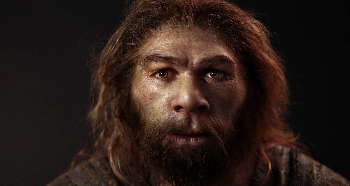 We just learned a lot more about Neanderthal-human mating