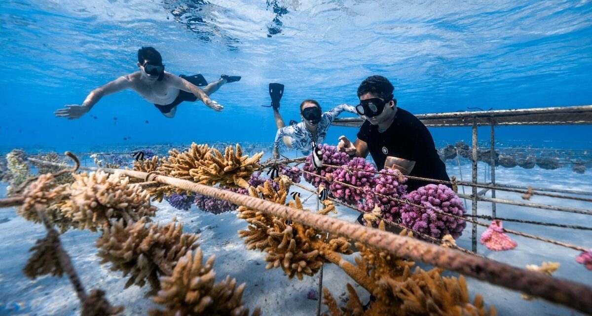 The world’s best conservation projects worth travelling for