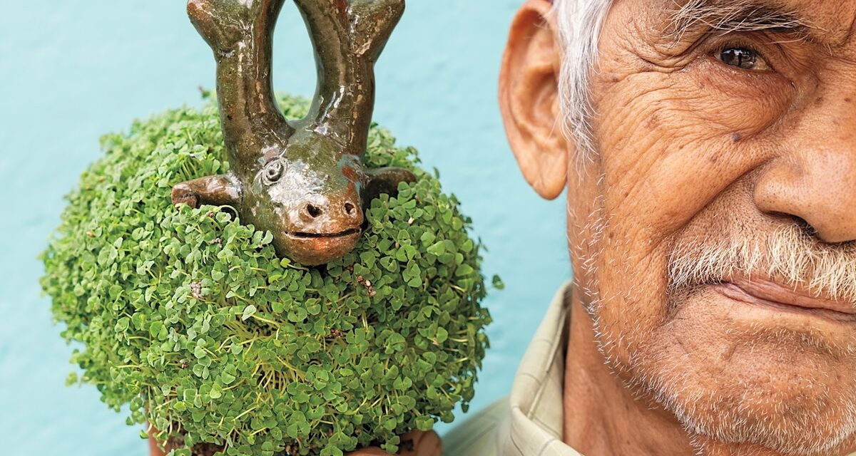 The secret religious history of your Chia Pet