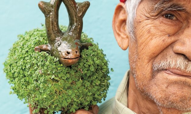The secret religious history of your Chia Pet