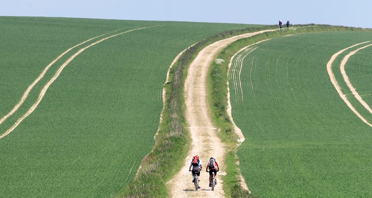 Why this English national park is becoming a wine-lover’s retreat