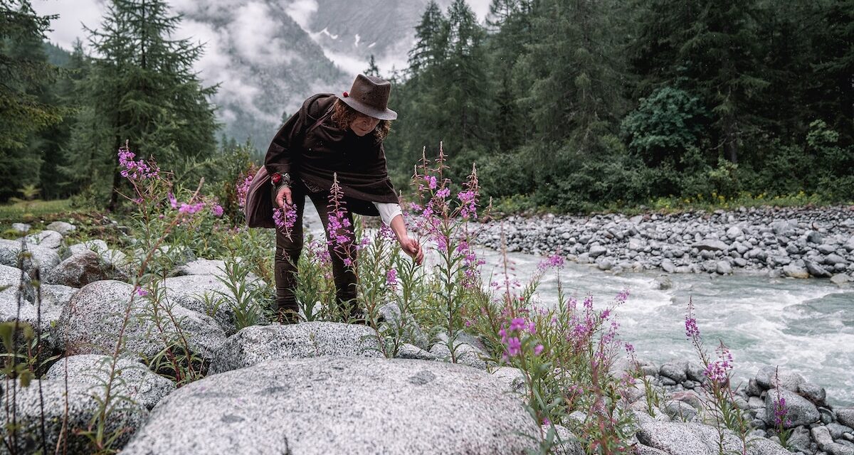 Learn the secrets of nature’s larder on a foraging trip to Italy’s Brenta Dolomites