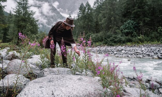 Learn the secrets of nature’s larder on a foraging trip to Italy’s Brenta Dolomites