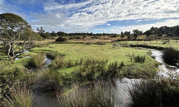 Debate explodes over age of key South American archaeological site