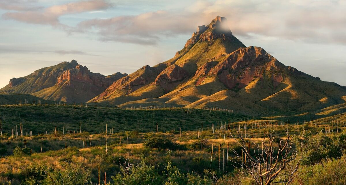 Everything you should know about Big Bend National Park