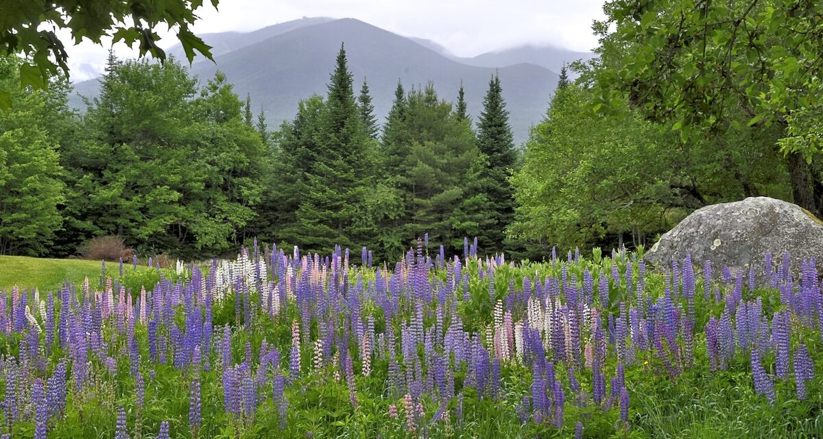 Why spring is the best time to visit New Hampshire’s White Mountains