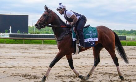 Preakness Stake 2026 odds, post positions: Iron Honor, Incredibolt, Taj Mahal predictions from racing expert