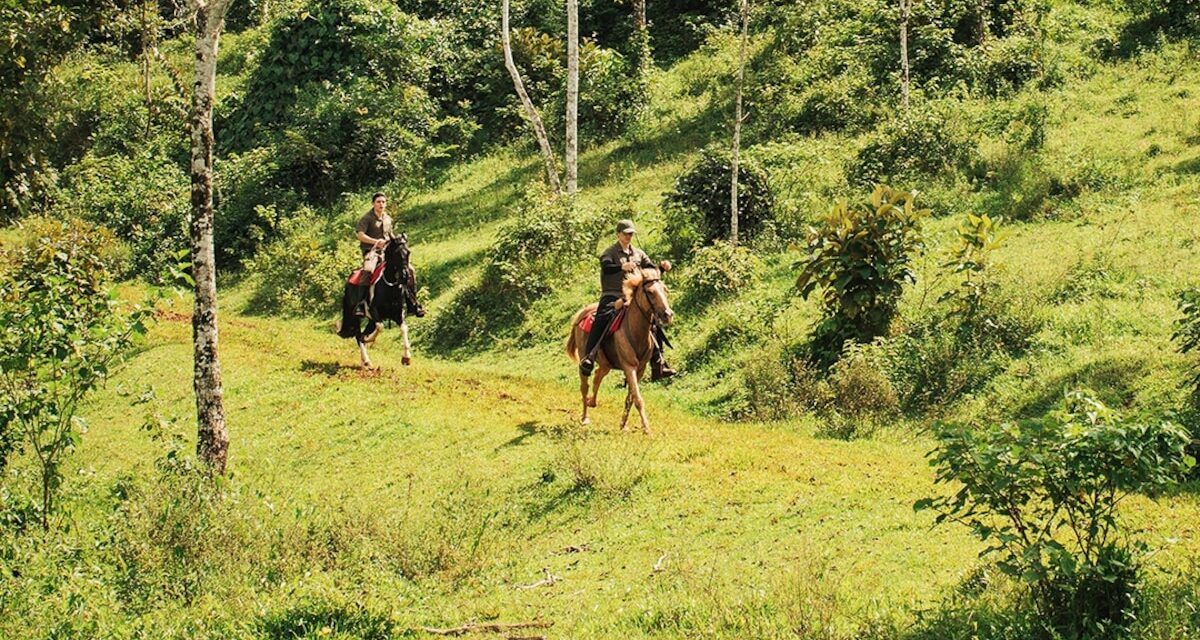 Why the best way to see Costa Rica’s Arenal Volcano is on horseback
