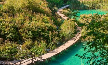 Everything you should know about Plitvice Lakes National Park