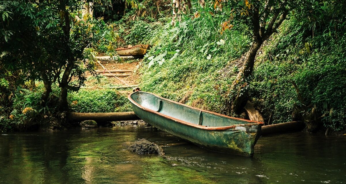 How Costa Rica’s Indigenous farmers are shaping a greener future