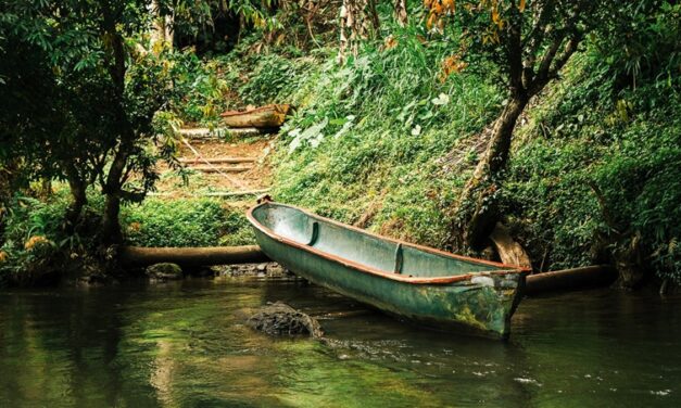How Costa Rica’s Indigenous farmers are shaping a greener future