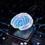 Lab-grown brain organoids power biocomputers