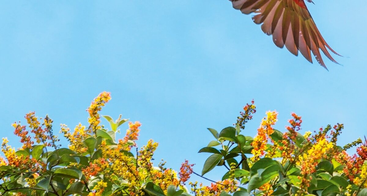 What you should know before booking a trip to Costa Rica