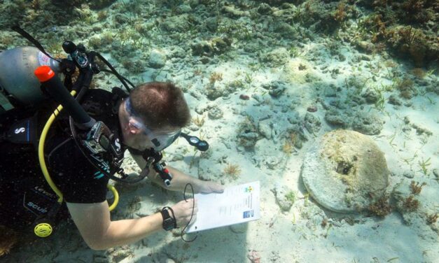 Nassau was the pirate capital of the Caribbean. Wrecks from its ‘Golden Age’ have finally been revealed.