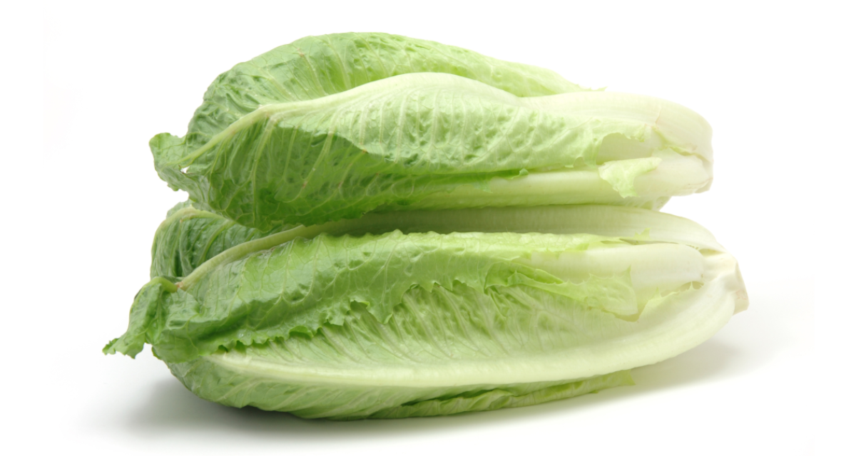 Publisher’s Platform: What the FDA did not want you to read about the November 2024 romaine E. coli outbreak