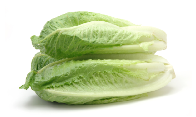 Publisher’s Platform: What the FDA did not want you to read about the November 2024 romaine E. coli outbreak