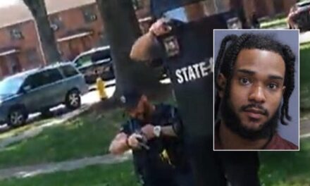 Pennsylvania mother’s video captures armed intruder holding her toddler as she begs for child’s release