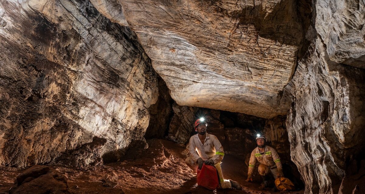 Scientist found 20 Homo naledi in a cave. Why are they all female?