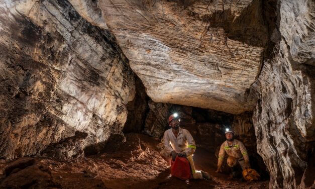 Scientist found 20 Homo naledi in a cave. Why are they all female?