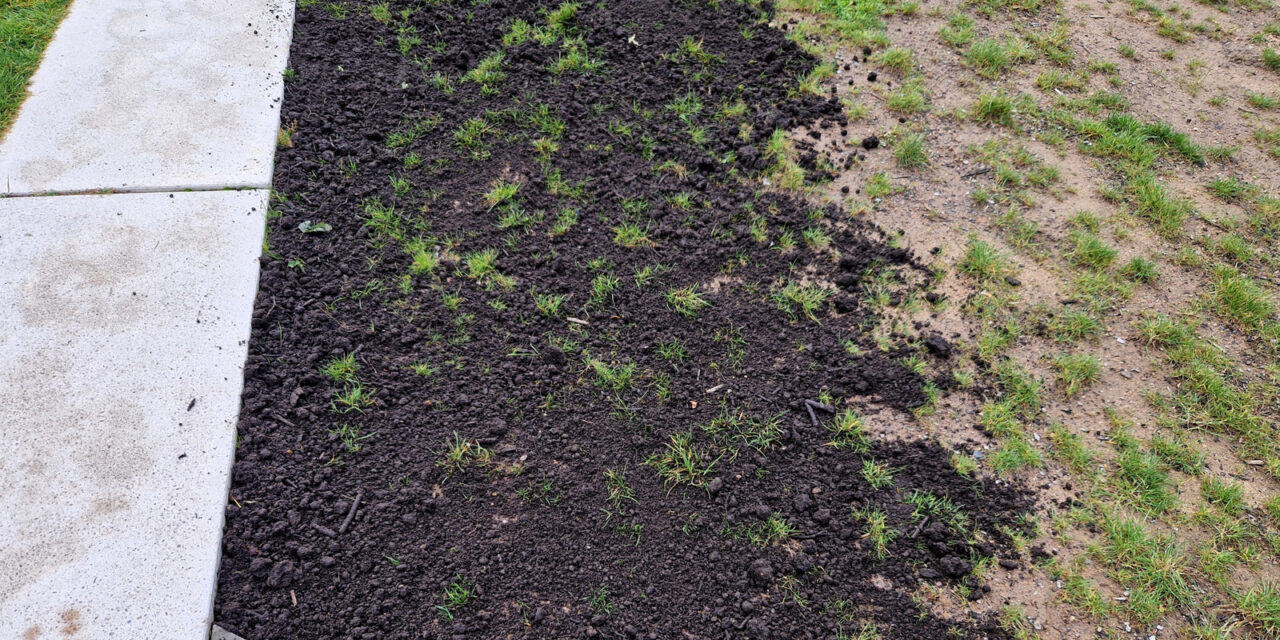 This Simple Tool Can Keep Your Lawn Level Without Breaking The Bank