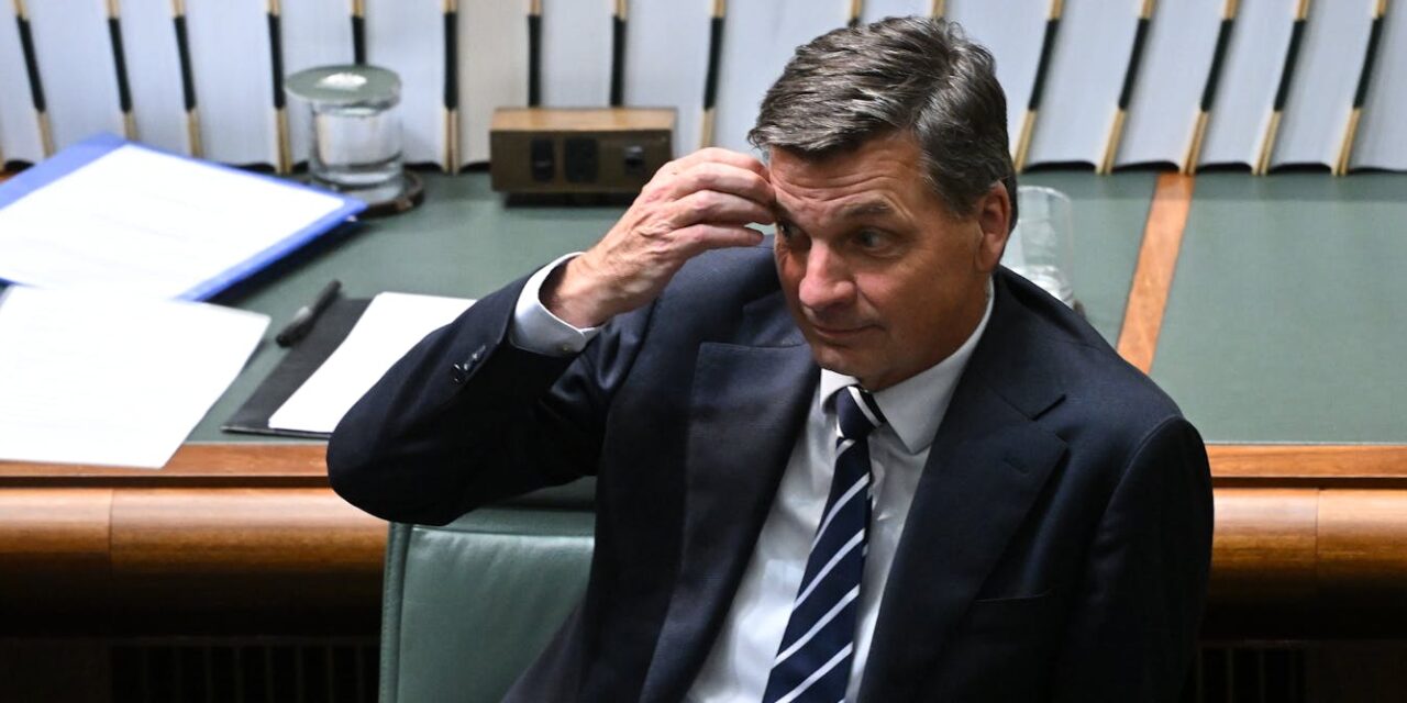 Two new polls show drop in support for the Liberals and One Nation