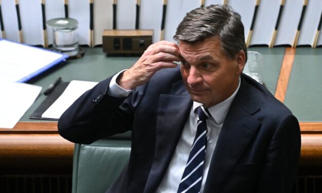 Two new polls show drop in support for the Liberals and One Nation