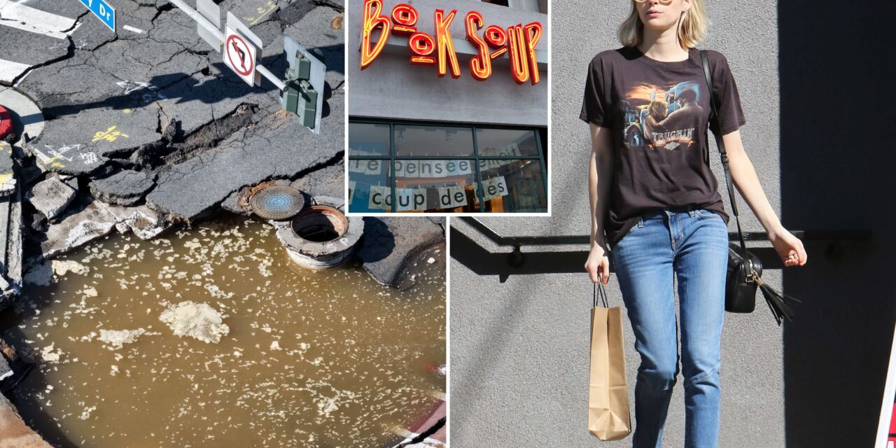 West Hollywood bookstore beloved by A-listers shares gut-wrenching update after water main break