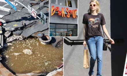 West Hollywood bookstore beloved by A-listers shares gut-wrenching update after water main break