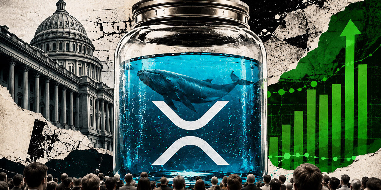 XRP’s $1.16 recovery gets support from whales and a $285 million ETF streak