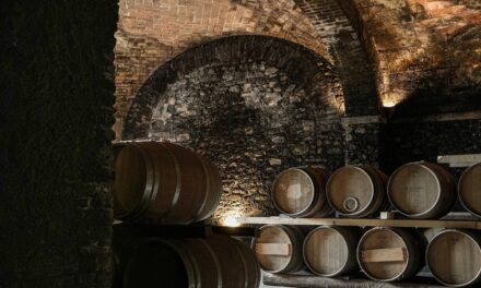 6 grand European hotels with legendary cellars—and centuries of history