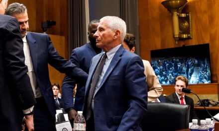 Critics and allies chime in after Fauci hearing