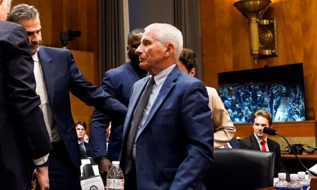 Critics and allies chime in after Fauci hearing