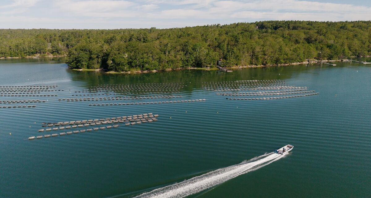 Following the waterways of Maine, from coast to mountains
