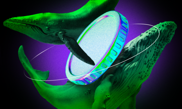 Crypto Whales Accumulate Bitcoin, Ether and XRP as Market Nears Final Bear Phase: CryptoQuant