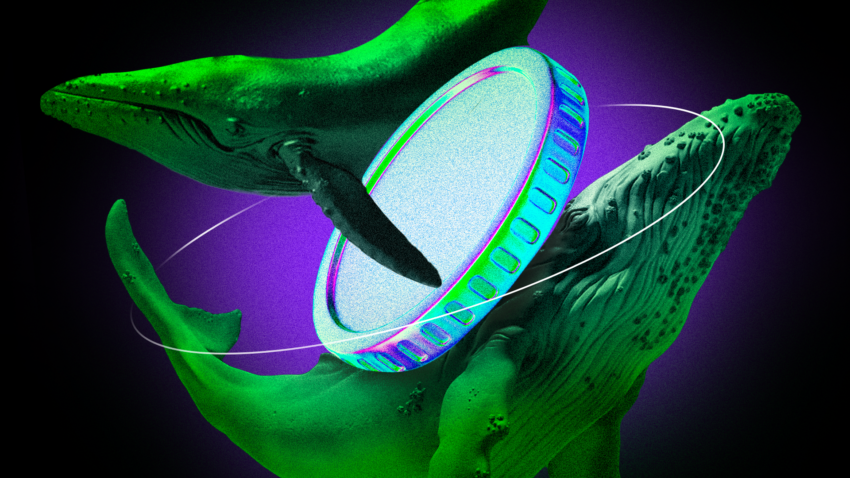 Crypto Whales Accumulate Bitcoin, Ether and XRP as Market Nears Final Bear Phase: CryptoQuant