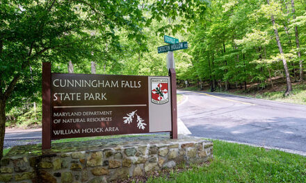 Maryland Closes More of Cunningham Falls State Park After Second Beaver Attack