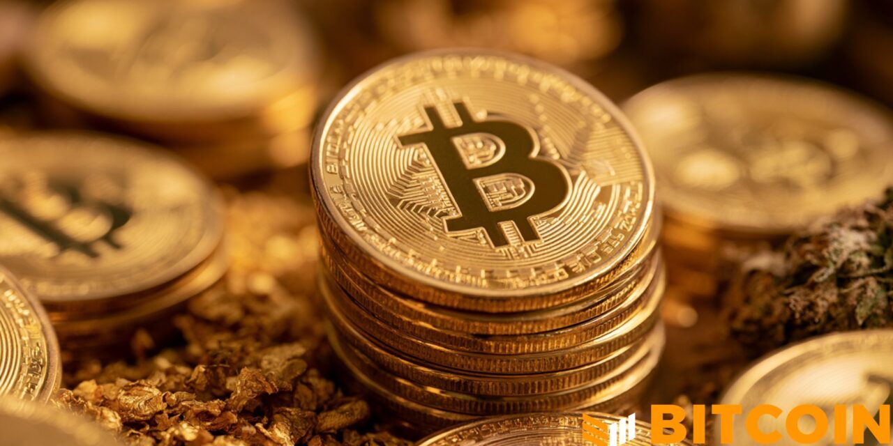 Edelman Financial, Tudor Investment Reveal Significant Bitcoin Holdings 