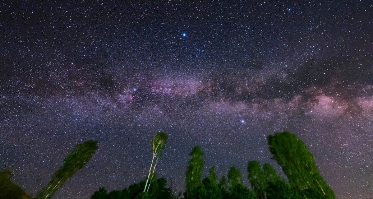 Look for the ‘Summer Triangle’ Stars. They Can Unlock the Rest of the Night Sky.