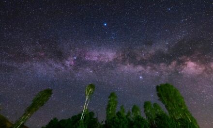 Look for the ‘Summer Triangle’ Stars. They Can Unlock the Rest of the Night Sky.