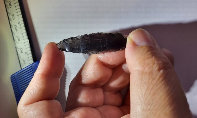 Oddly etched Neolithic arrowheads baffle archaeologists in Turkey