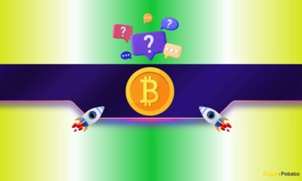 Bitcoin Isn’t Out of Danger Yet: BTC Must Clear These Crucial Levels