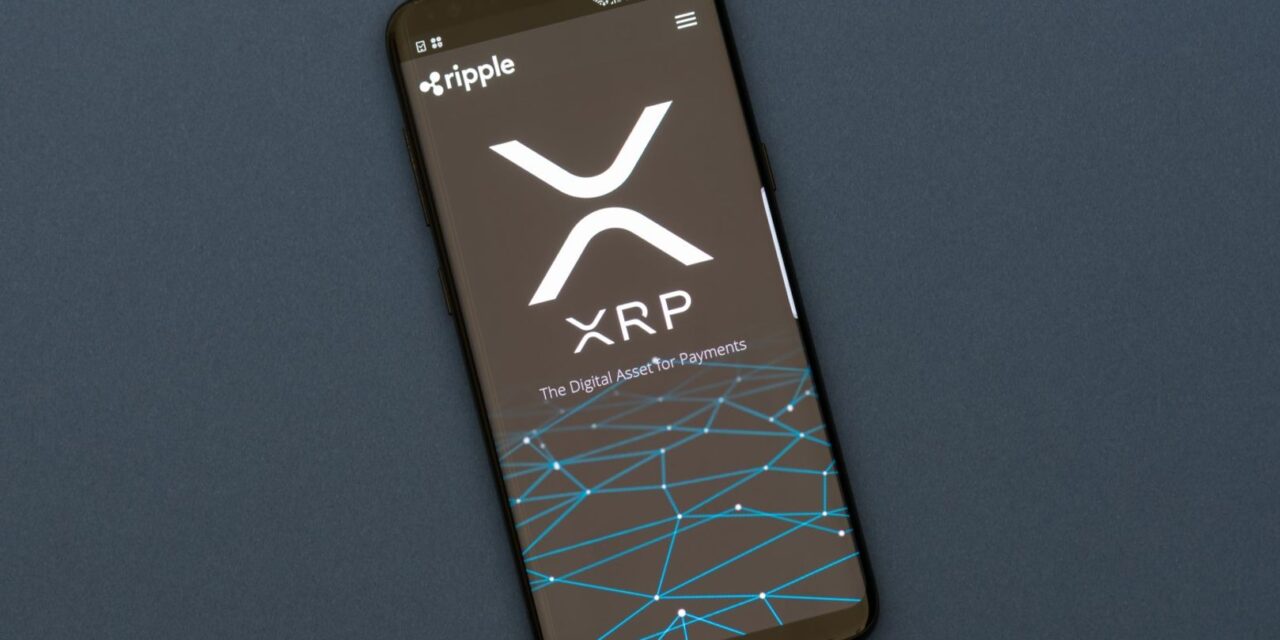 XRP Ledger has fewer active accounts than last year, but bigger trades and more value
