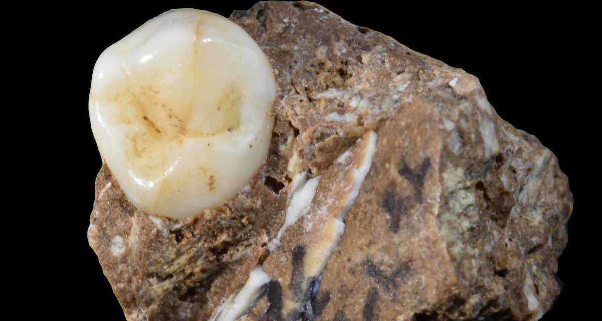 Researchers Discover Rare Denisovan Bones in a Cave in China