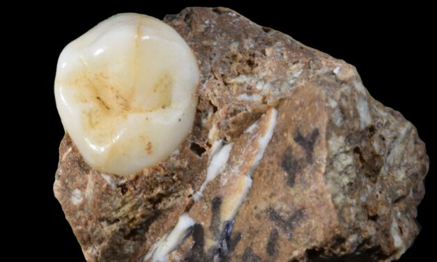 Researchers Discover Rare Denisovan Bones in a Cave in China