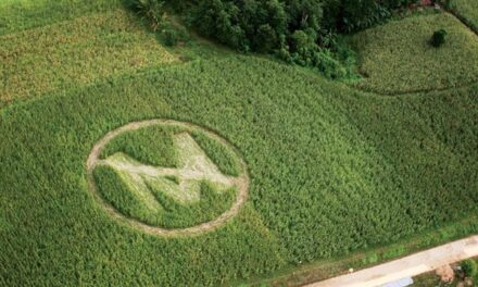 Monsanto’s Cruel, and Dangerous, Monopolization on American Farming (2008)