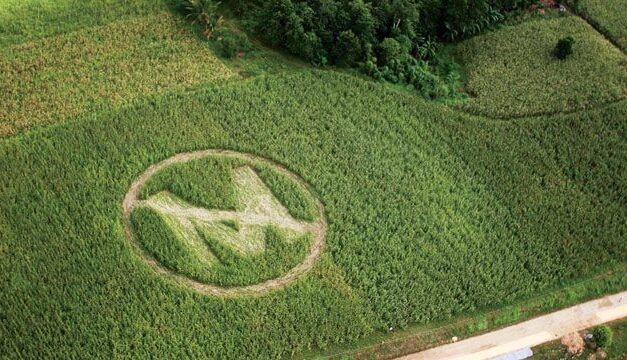 Monsanto’s Cruel, and Dangerous, Monopolization on American Farming (2008)