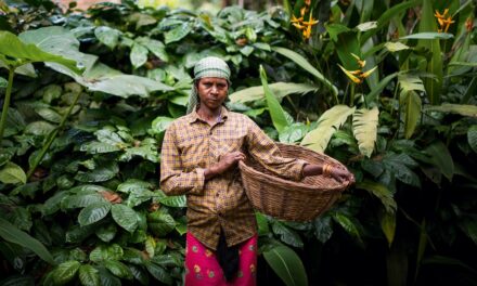How to Explore the Indian Ocean Through Its Spices