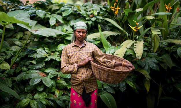 How to Explore the Indian Ocean Through Its Spices