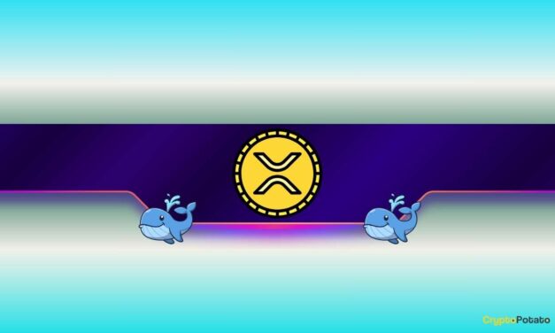 Ripple Whales Go on Massive Accumulation Spree: Bigger XRP Price Move Coming?